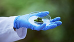 Scientist hand, petri dish and plant in nature, studying growth in forest for sustainable analysis. Ecology, science and research in agriculture, biotechnology and development test with moss in glass