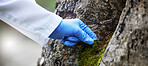 Scientist hand, moss and tree in nature, studying growth in forest for sustainable plant analysis. Ecology, science and research in agriculture, biotechnology and development test with green sample.