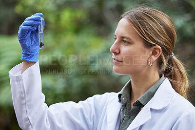 Buy stock photo Science, analysis and woman with plants test tube in woods, studying growth of bacteria and sustainability in nature. Ecology, trees and research biology for scientist sample and forest inspection.