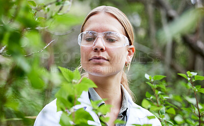 Buy stock photo Scientist woman, plants and field research with focus, outdoor and glasses for safety, analysis and growth. Female science, forest or woods with leaves, plastic goggles or inspection for pharma study