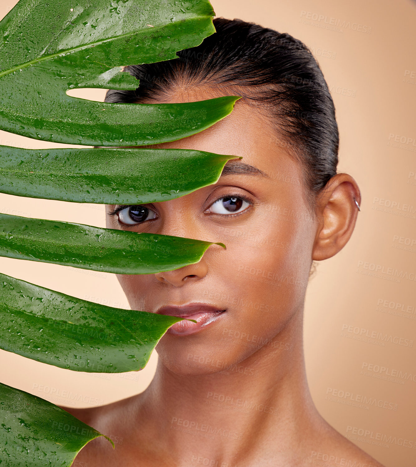 Buy stock photo Leaf, portrait and beauty with indian woman with plant or cosmetic in studio background for glow. Leaves, face and girl with dermatology with facial treatment for self care with eco friendly person.