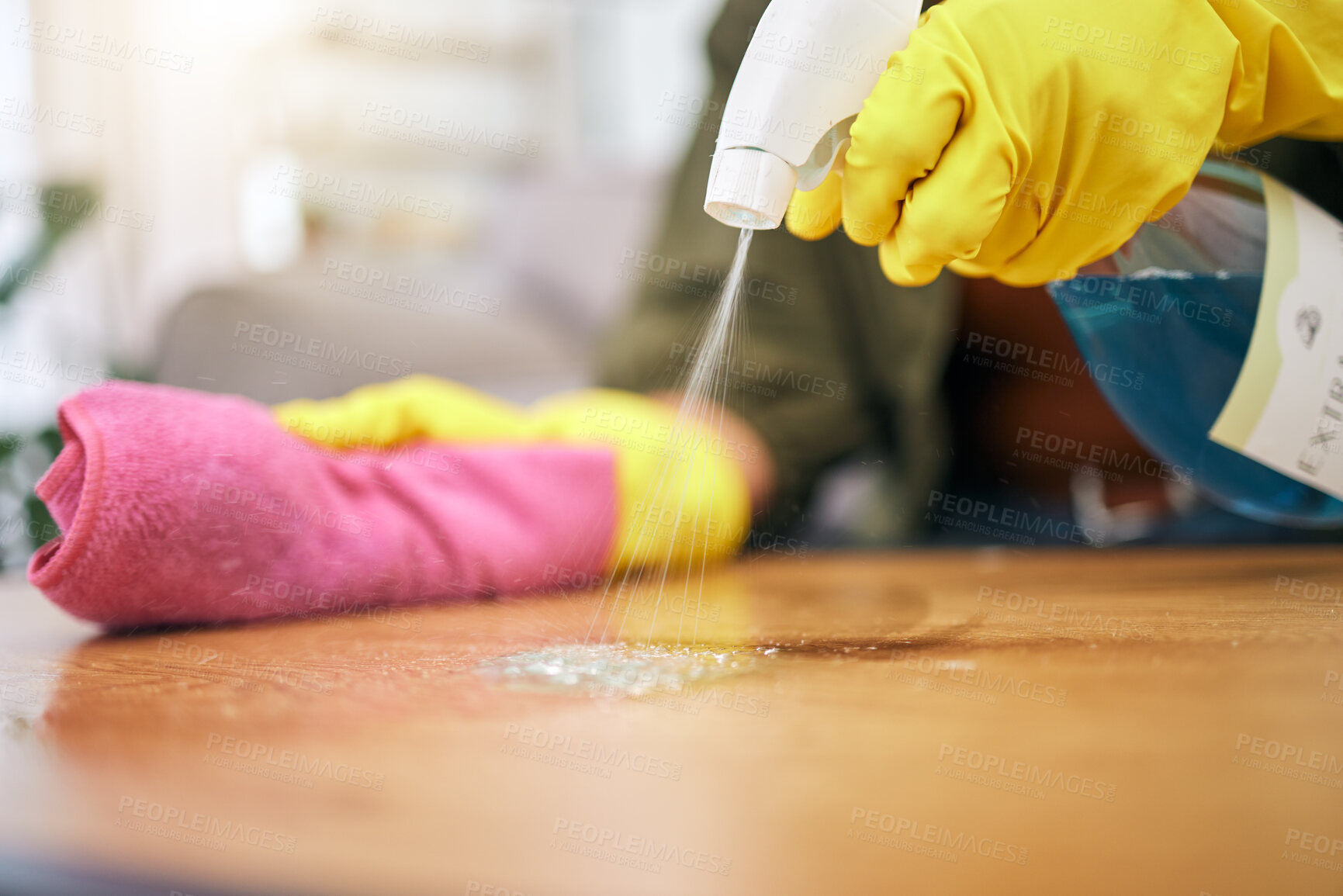 Buy stock photo Person, hands and spray on table with cloth for hygiene, bacteria or germ removal at home. Closeup of cleaner, housekeeper or maid wiping furniture in domestic service or disinfection on desk surface