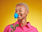 Smelling, love and spring with black woman and rose in studio for blossom, plant and environment. Gift, love and blue flower with face of person on yellow background for floral, scent and mockup