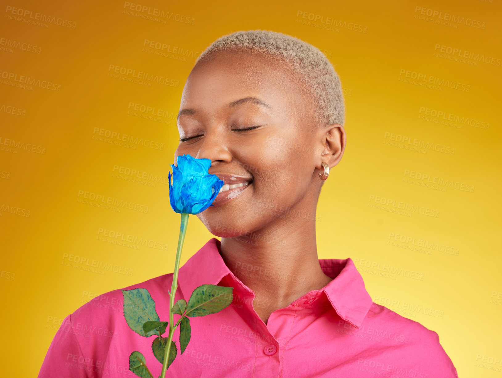 Buy stock photo Smelling, love and spring with black woman and rose in studio for blossom, plant and environment. Gift, love and blue flower with face of person on yellow background for floral, scent and mockup