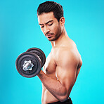 Weightlifting, fitness and man with dumbbell training, exercise or workout isolated in a studio blue background. Bodybuilder, wellness and healthy young person doing body or bicep strength endurance
