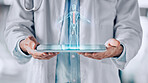 Closeup, tablet and doctor with hologram, human body and healthcare with science, analysis and research. Holographic person, medical professional or surgeon with biotechnology, anatomy and innovation