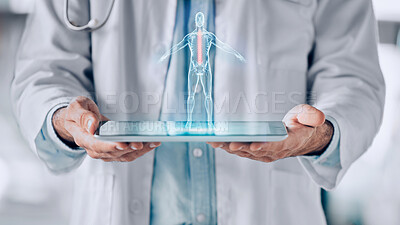 Buy stock photo Closeup, tablet and doctor with hologram, human body and healthcare with science, analysis and research. Holographic person, medical professional or surgeon with biotechnology, anatomy and innovation