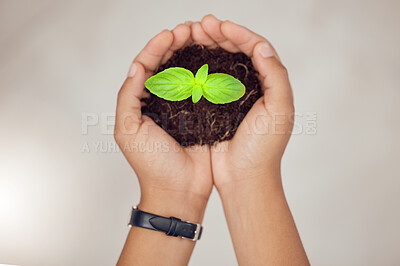 Buy stock photo Soil, eco friendly and hands of person with plant for natural planting, agriculture harvest or ecosystem. Top view, sustainability or farmer with dirt, earth or leaf seedling for environment growth