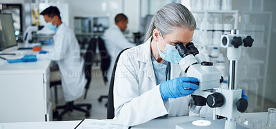 Buy stock photo Senior woman, research and lab microscope for info and work for medical analysis. Scientist, investigation and laboratory expert with covid and healthcare report for virus monitoring and data 