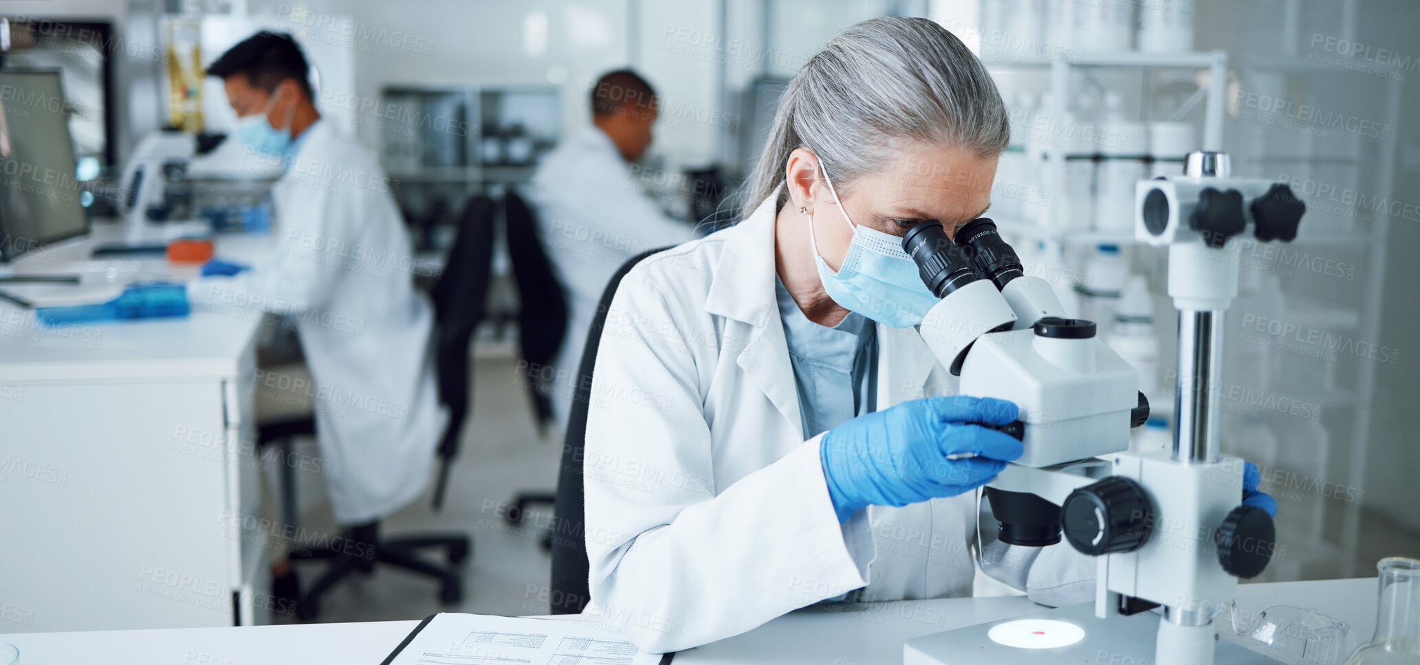 Buy stock photo Senior woman, research and lab microscope for info and work for medical analysis. Scientist, investigation and laboratory expert with covid and healthcare report for virus monitoring and data 