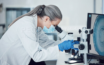 Buy stock photo Senior woman, science and lab microscope for research and work for medical analysis. Scientist, investigation and laboratory expert with covid and healthcare report for virus monitoring and data 