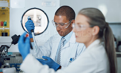 Buy stock photo Science, laboratory and man with medical test for doctor research and study in clinic. Lab expert, petri dish and professional with innovation and investigation for chemistry work of dna scientist