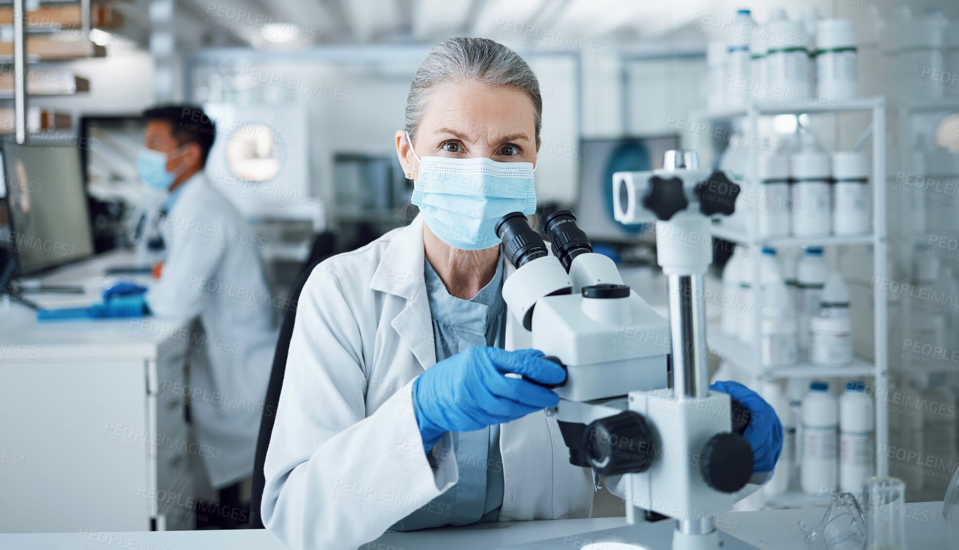 Buy stock photo Microscope, scientist and portrait of woman in laboratory to review virus research, medical test and biotechnology. Science, microbiology and senior female professor with face mask for dna analysis