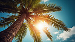 Tropical, sky and island with plant in nature for travel, vacation and summer trip. Ai generated, adventure and holiday with palm tree in bay for Caribbean, seaside destination and freedom