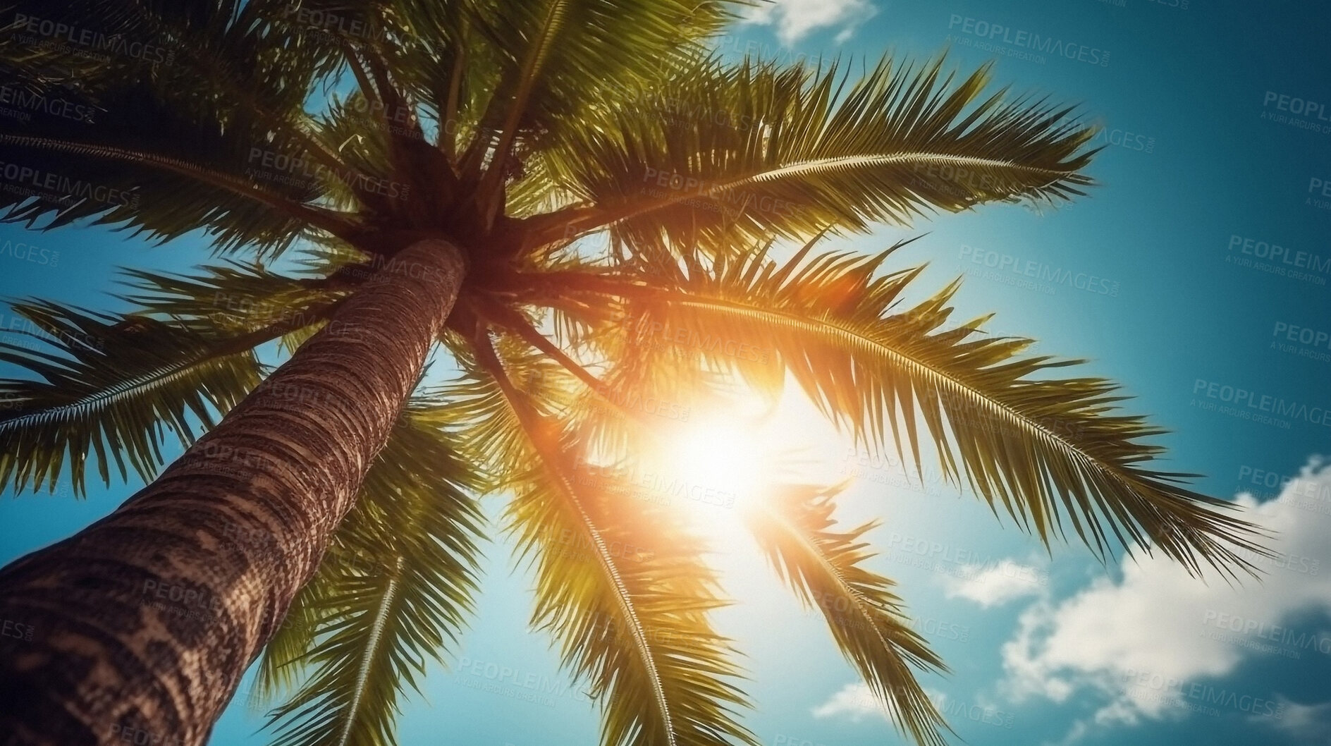 Buy stock photo Tropical, sky and island with plant in nature for travel, vacation and summer trip. Ai generated, adventure and holiday with palm tree in bay for Caribbean, seaside destination and freedom