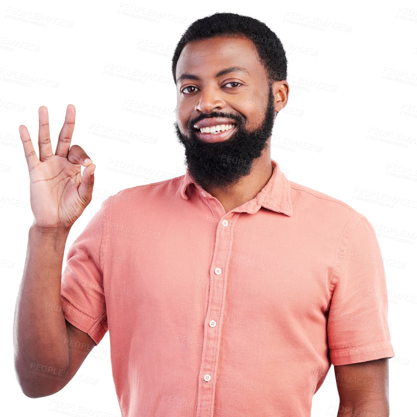 Buy stock photo Success, okay sign and business man in portrait isolated on transparent png background for thank you, support or like. Face of happy winner or african person winning, yes and excellence emoji or hand