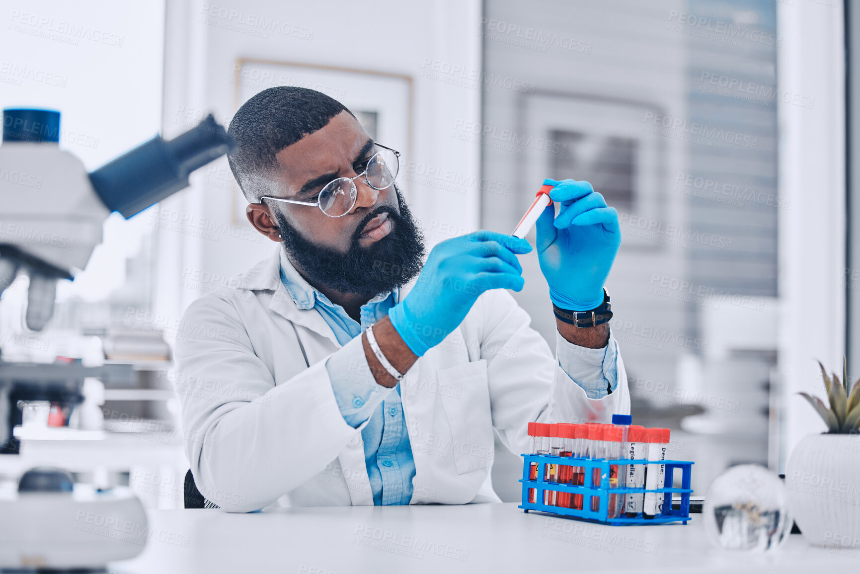 Buy stock photo Sample analysis, research and a scientist with blood for science or pharmaceutical healthcare in a lab. Focus, doctor or a black man with a dna vial for virus test, technician work or expert check