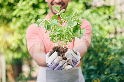 Buy stock photo Hands, closeup and man with a plant for gardening, earth day or nature sustainability. Spring, growth and gardener or agriculture worker with ecology in a park or nursery for work in the environment