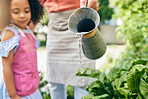 Gardening, dad and child water plants, teaching and learning with growth in nature together. Backyard, sustainability and father helping daughter watering vegetable garden with love, support and fun.