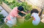 Gardening, sustainability and dad with child from above with plants, teaching and learning with growth and nature. Fun, backyard and father helping daughter, vegetable garden with love and support.