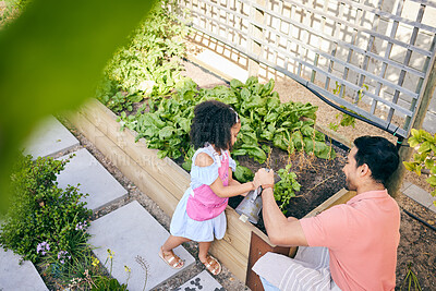 Buy stock photo Gardening, dad and child watering plants, teaching and learning with growth in nature from above. Support, sustainability and father helping daughter water vegetable garden with love, support and fun