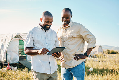 Buy stock photo Black people, tablet and farm with chicken in agriculture together, live stock and outdoor crops. Happy men working together for farming, sustainability and growth in supply chain in the countryside