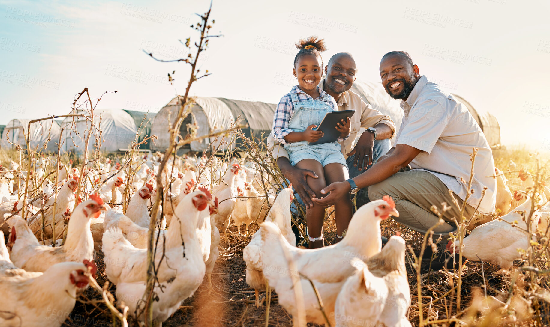 Buy stock photo Family, chicken farm and portrait in countryside with gay parents, agriculture help and kid. Happy, farming and child together with love and farmer support with bird and animal stock in field