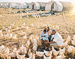 Family, chicken farm and happy in countryside with sustainability, agriculture help and kid. Gay parents, farming and child together with parent love and support with bird and animal stock in field