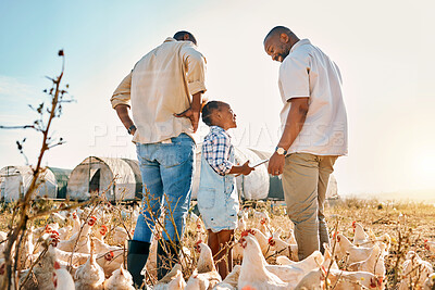 Buy stock photo Tablet, gay couple and chicken with black family on farm for agriculture, environment and bonding. Relax, lgbtq and love with men and child farmer on countryside field for eggs, care and animal