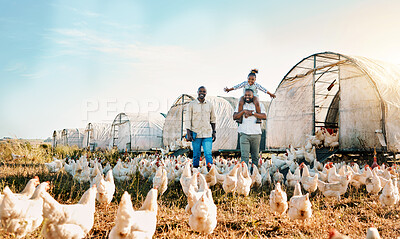 Buy stock photo Freedom, gay couple and chicken with black family on farm for agriculture, environment and bonding. Relax, happy and love with men and child farmer on countryside field for eggs, care and animals