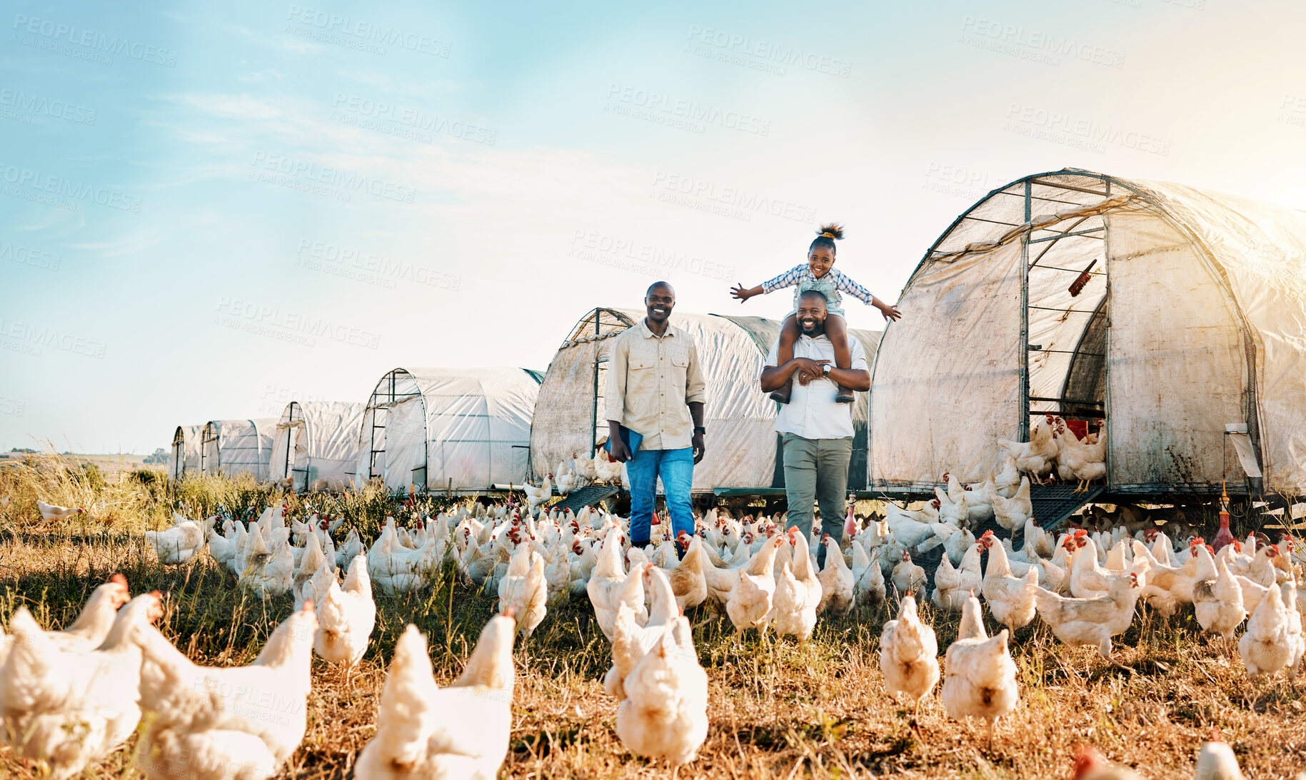 Buy stock photo Freedom, gay couple and chicken with black family on farm for agriculture, environment and bonding. Relax, happy and love with men and child farmer on countryside field for eggs, care and animals