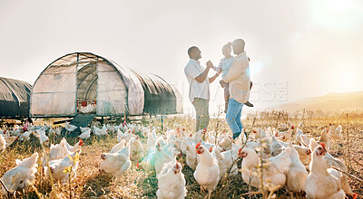 Buy stock photo Happy, gay couple and chicken with black family on farm for agriculture, environment and bonding. Relax, lgbtq and love with men and child farmer on countryside field for eggs, care and animals