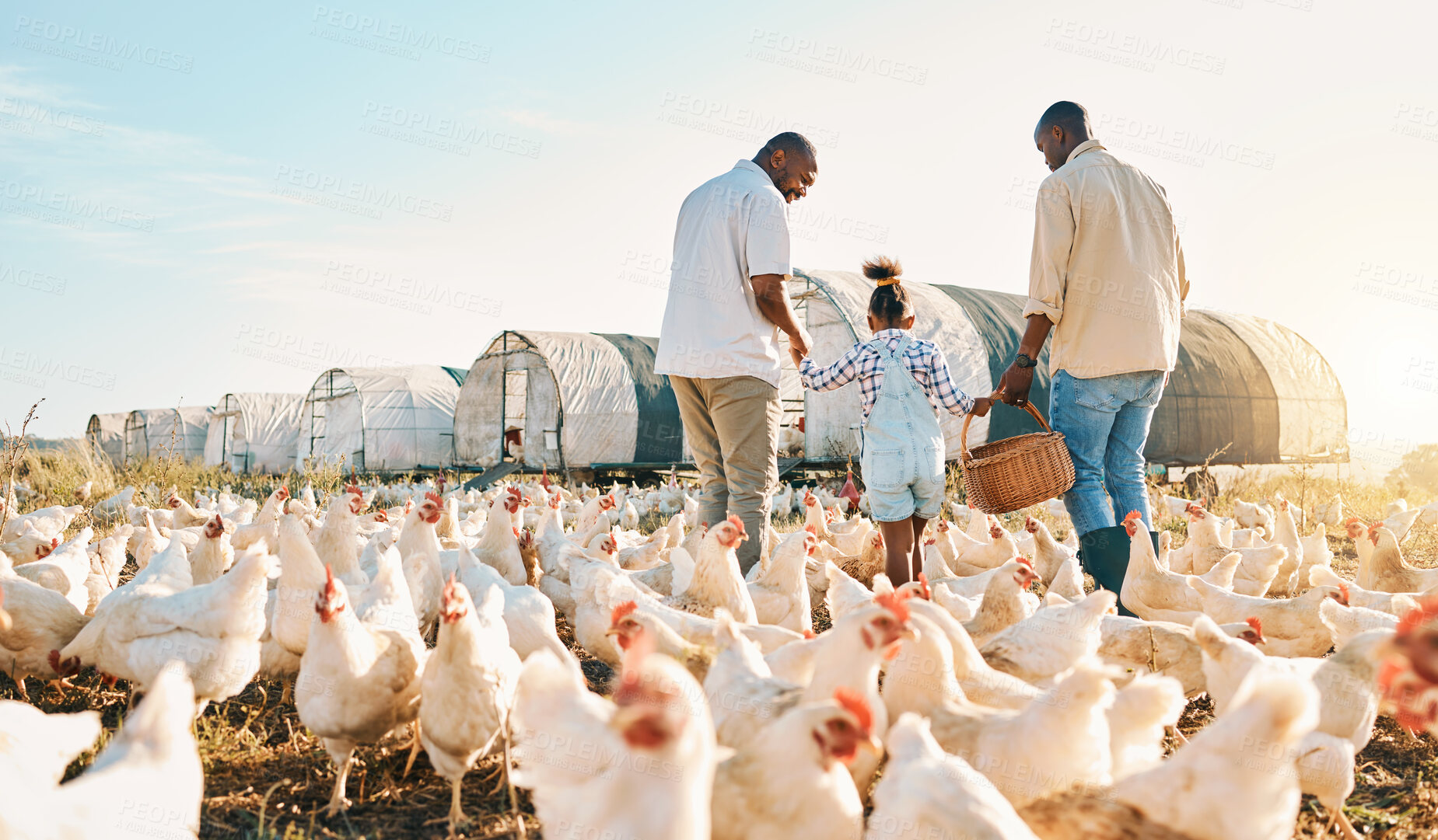 Buy stock photo Happy, gay couple and holding hands with black family on chicken farm for agriculture, environment and bonding. Relax, lgbtq and love with men and child on countryside field for eggs, care or animals