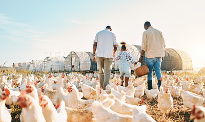 Buy stock photo Happy, holding hands and chicken with black family on farm for agriculture, environment and bonding. Relax, lgbtq and love with men and child farmer on countryside field for eggs, care and animals