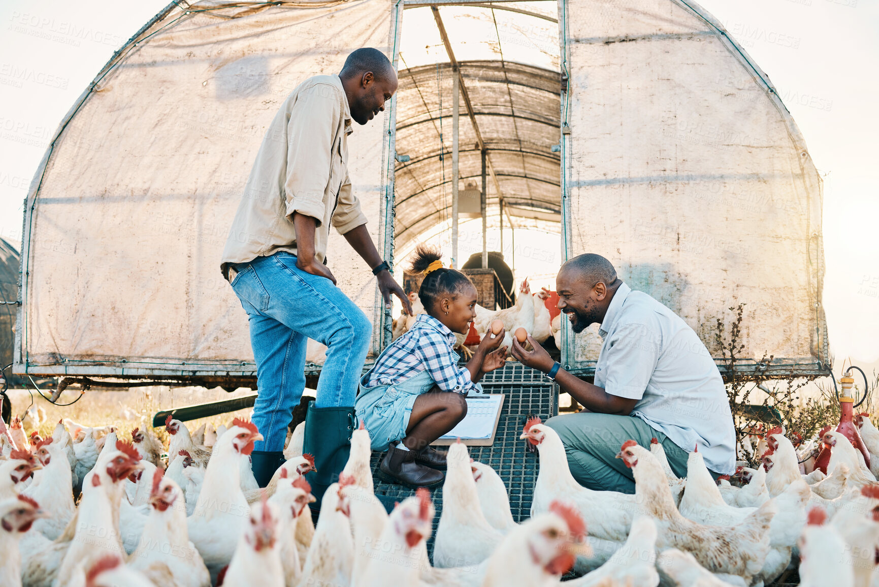 Buy stock photo Farm, chicken and lgbtq parents with girl with egg in countryside for learning, agriculture and vacation. Family, sustainable farming and gay fathers with kid for bonding, relax and fun with animals