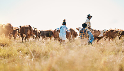 Buy stock photo Cattle, father and children on family farm outdoor with freedom, sustainability and livestock. Black man and kids walking on a field for farmer adventure or holiday in countryside with cows in Africa