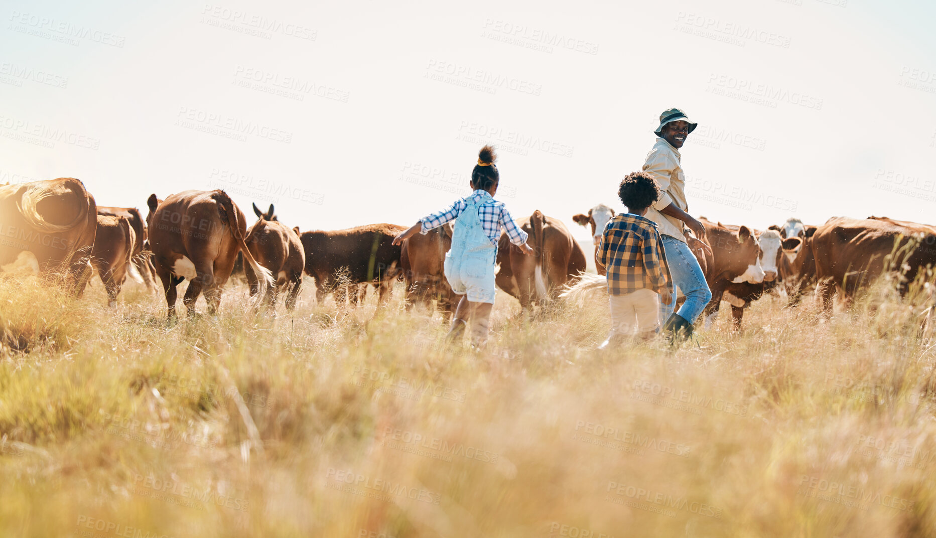 Buy stock photo Cattle, father and children on family farm outdoor with freedom, sustainability and livestock. Black man and kids walking on a field for farmer adventure or holiday in countryside with cows in Africa