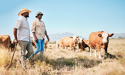 Buy stock photo Farmer, men and team, cow and agriculture with livestock, sustainability and agro business in countryside. People in farm collaboration, industry and environment with cattle herd and animals outdoor