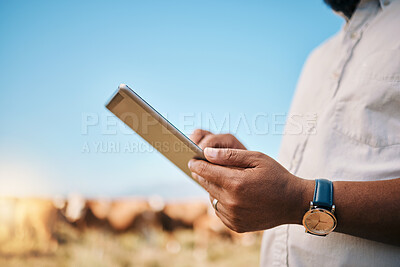 Buy stock photo Man, hands and tablet in farming, agriculture or research for natural sustainability with animals in countryside. Closeup of male person on technology at farm with live stock or cattle for production