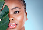 Beauty portrait, studio leaf and black woman with natural wellness, organic skincare or and sustainable facial makeup. Eco friendly makeup, tropical plant and African person face on blue background