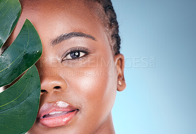Buy stock photo Beauty portrait, studio leaf and black woman with natural wellness, organic skincare or and sustainable facial makeup. Eco friendly makeup, tropical plant and African person face on blue background