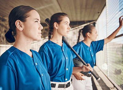 Buy stock photo Women, softball and sports, team in dugout and watch game with fitness, mission and confidence at stadium. Athlete group, exercise and trust with support, collaboration and baseball player in club