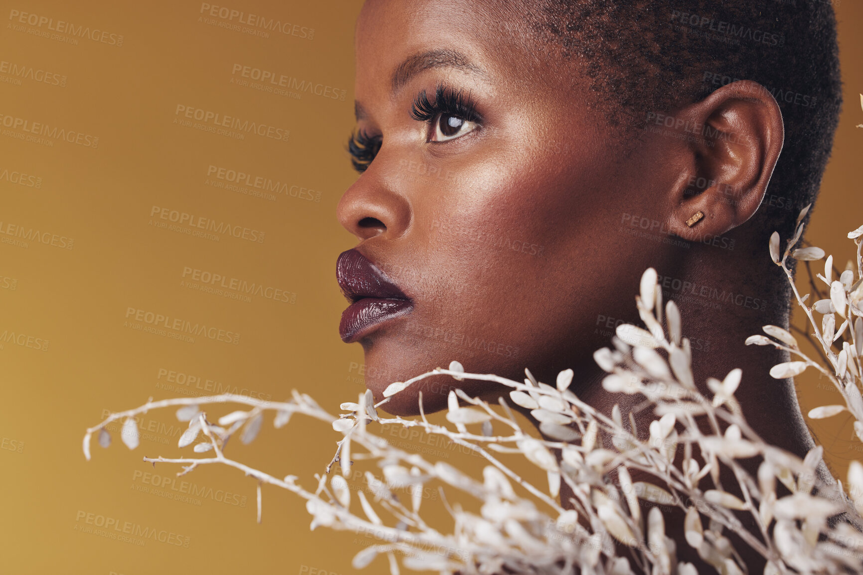 Buy stock photo Thinking, plants and black woman with skincare, cosmetics and dermatology on a brown studio background. Solution, face or person with natural beauty, mockup space and wellness with flowers or profile