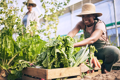 Buy stock photo Spinach, vegetables in box and green, black woman farming and sustainability with harvest and agro business. Agriculture, gardening and farmer person with fresh product and nutrition for wellness