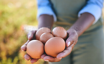 Buy stock photo Eggs, farmer and hands in agriculture on sustainable farm or free range product for protein diet in nature. Food, health and person with organic nutrition from livestock on a field in the countryside