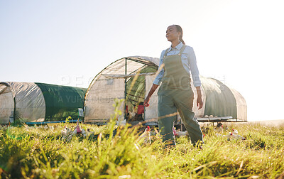 Buy stock photo Chicken farm, black woman and agriculture work on a eco friendly and sustainable with mockup space. Countryside, field and agro farmer with a smile from farming, animal care and working in nature