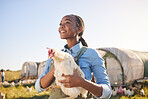 Farm, agriculture and black woman with chicken in field, countryside or nature for protein, growth or ecology. Agro business, sustainable farming and farmer and bird for free range poultry production