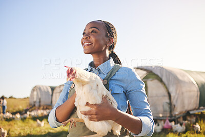 Buy stock photo Farm, agriculture and black woman with chicken in field, countryside or nature for protein, growth or ecology. Agro business, sustainable farming and farmer and bird for free range poultry production