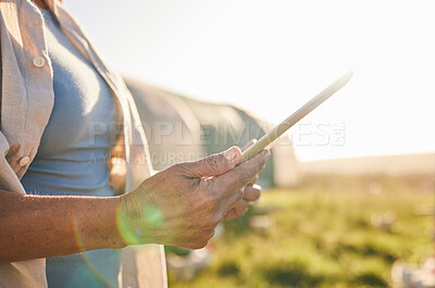 Buy stock photo Farm, chicken and person on tablet in field, countryside and nature for internet, research and growth analysis. Agriculture, sustainable farming and farmer on digital tech for production inventory