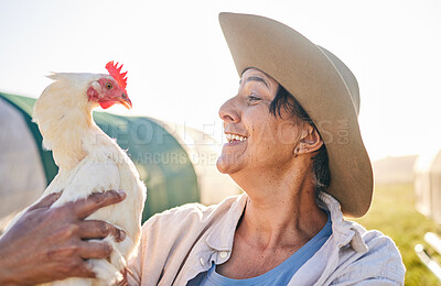 Buy stock photo Agriculture, chicken and mature woman in farm, countryside and nature for small business growth. Environment, sustainable farming and happy farmer with bird for free range poultry production outdoors